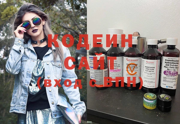 прущие крисы Абаза