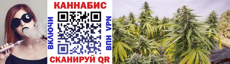 Конопля SATIVA & INDICA  площадка какой сайт  Елизаветинская 